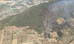 Foça’da ormanlık alanda çıkan yangın kontrol altında