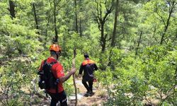 Gazipaşa’da kaybolan yaşlı adamı arama çalışmaları 7. gününde sürüyor