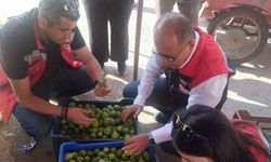 Germencik’te ilek tezgahları denetlendi