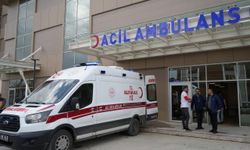 Gıda zehirlenmeleri sıcaklıkların yükselmesiyle birlikte artıyor