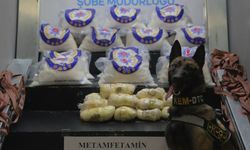 Hakkari’de bir tırda 66 kilo 120 gram metamfetamin ele geçirildi