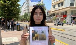 Herkes bayramı kutlarken o sokak sokak kayıp kedisini aradı