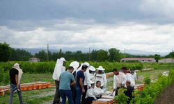 Iğdır’da arı kovanı dağıtım töreni düzenlendi