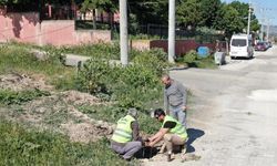 İnönü Belediyesi’nden aydınlatma direği yapım çalışmaları