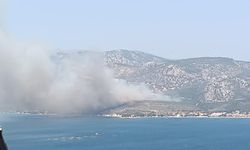 İzmir’de çıkan orman yangınına havadan ve karadan müdahale başladı