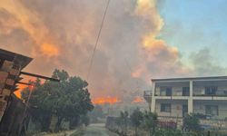 İzmir’de orman yangını kontrol altında