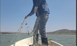 Kaçak avcıların ağı denetimde ortaya çıktı
