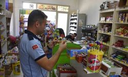 Karacabey Zabıta ekipleri köylerde denetimlere başladı