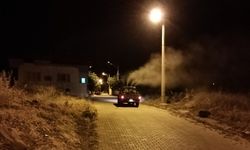 Karacasu’nun ’sinek timi’ işbaşında