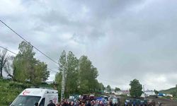 Kars’ta araziye yıldırım düştü, hayvanlarını otlatan bir kişi yaralandı