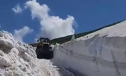 Kars’ta, haziran ayının ortasında karla mücadele