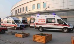 Kayıp kurbanlığı ararken canından oldu