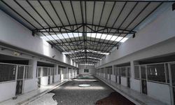 Kayseri’de 500 hayvan kapasiteli yeni bir barınak inşa ediliyor
