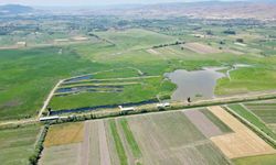Kaz Gölü yeni evlenen çiftler için doğal stüdyo oldu