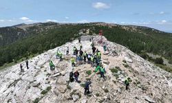 Kazdağları zirvesinde çevre temizliği