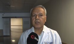 Keneler birden fazla virüsü insana bulaştırıyor
