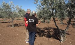 Kilis’te tarımsal sulama yatırımları artıyor