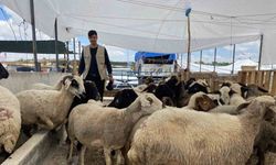 Konya’da kurban satıcıları yarını bekliyor