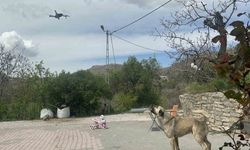 Köpeğin dron ile imtihanı gülümsetti