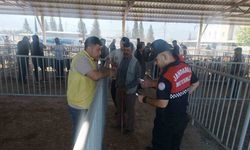 Kurban Bayramı öncesi jandarmadan vatandaşa dolandırıcılık uyarısı