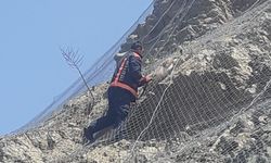 Malatya’da ağa takılan 2 yaban keçisi kurtarıldı