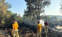 Mangal yakarak orman yangınına neden olan şahıs tutuklandı