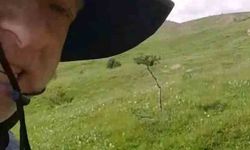 Mantar toplamaya çıktı, tilkiyle dost oldu