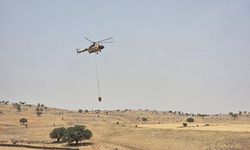 Mardin’de soğutma çalışmaları sırasında çıkan yangın kontrol altına alındı