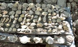 Mersin Mut’ta fosil araştırması