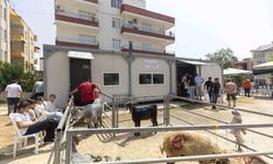 Mersin’de kurban kesimi hem hijyenik hem ücretsiz