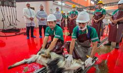 Mersin’de şehitlerin anısına kurban kesildi