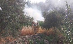 Mersin’de tarım arazisinde çıkan yangın korkuttu