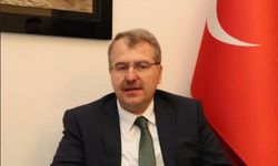 Milletvekili Eldemir’e TBMM’de komisyona başkan vekili seçildi