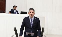 Milletvekili Şan’a TBMM’de yeni görev