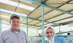 Milletvekili Sema Silkin Ün kurban pazarında yetiştiricileri dinledi