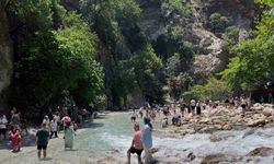 Muğla’daki 9 milli parka 4 günde 198 bin 372 ziyaretçi