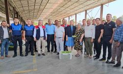 Nazilli’de kaliteli incir için kaliteli ilek denetimleri sürüyor