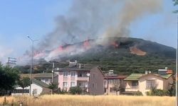 Niksar’da orman yangını, ekiplerin müdahalesi sürüyor
