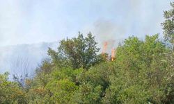 Orhangazi’deki yangına havadan ve karadan müdahale ediliyor