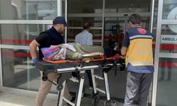 Otomobil şarampole devrildi: 8 yaralı