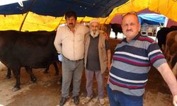 Samsun’da kurban pazarında yüzler gülüyor: Hayvanlar elde kalmadı