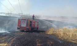 Siirt’te çıkan yangında ekili alanlar zarar gördü
