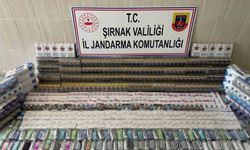 Şırnak’ta 5 milyon lira değerinde gümrük kaçağı ürün ele geçirildi