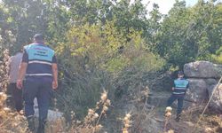 Sit alanında ilek toplarken yakalandılar