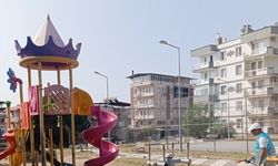 Söke’de park ve bahçelerde ’kene’ mücadelesi