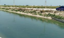 Tarsus’ta kayıp şahıs ölü bulundu