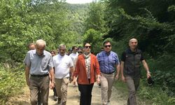 Tesadüfen bulundu, bir ili heyecan sardı