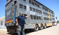 Türk mühendislerin tasarladığı bu araçla, canlı hayvan naklinde 5 yıldızlı konfor dönemi başladı