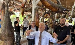 Türkiye Deniz Canlıları Müzesi, bayramda ziyaretçilerini bekliyor