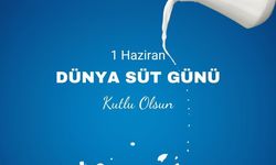 TVHB Merkez Konseyi Başkanı Eroğlu: "Ülkemizde sütün toplanması ve süt kalitesinde istenilen noktada olmadığımız söylenebilir"